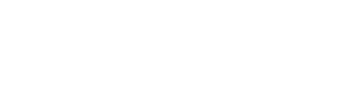 Main logo reset obb branco