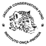 Main logo preenchido